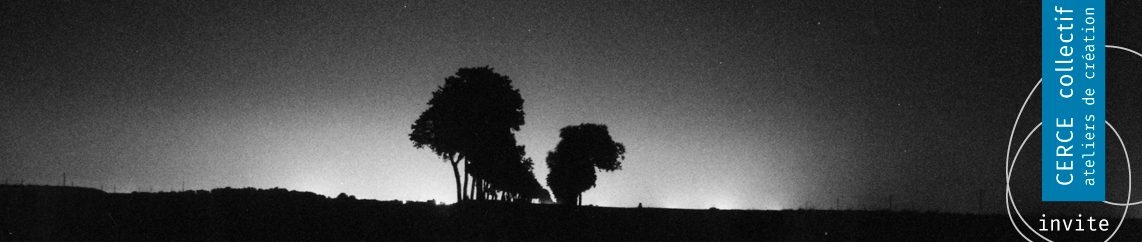 cropped-nuit-arbre-haut