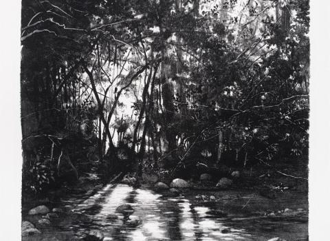 Bosque, Selva y Fraga,&nbsp;2020